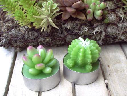 CACTUS 6POT キャンドル-EKEBERIA