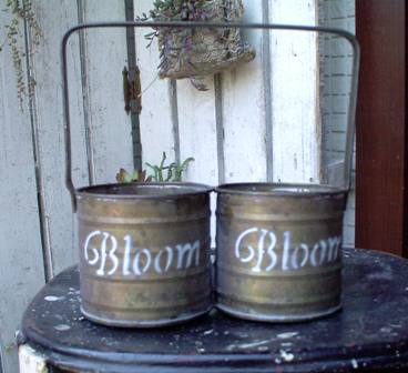 BLOOM HANDLE　2P L