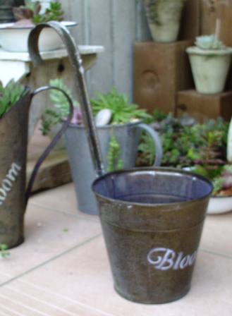 BLOOM HANGING POT L