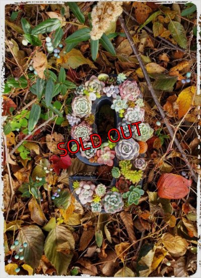 画像2: 栃尾さん＆トットコラボ　数字の器（22-11）