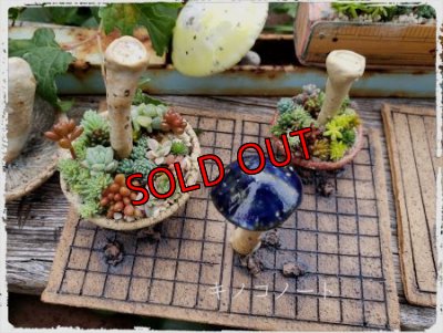 画像2: ミニキノコ鉢　2Ｐセット（20-7）