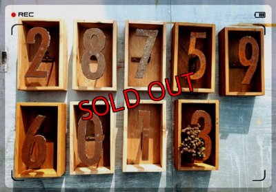 画像5: いちかわふぁーむさんのセダム＆木箱付セット/Ｄタイプ(2/23)