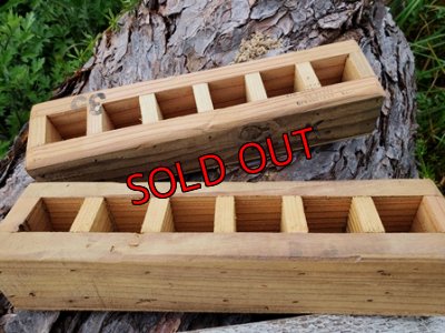 画像2: 小さな植物と小さなパーツのセット〜木箱編♡4/24