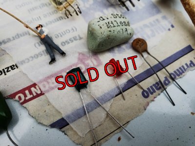 画像6: 古いパーツ/キリトリ☆ポールの授粉作業編-19-6/30-1