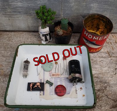 植物はオプションです、