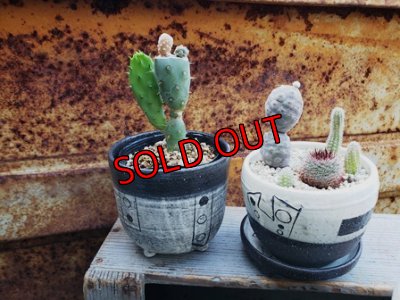 植物入れるとこんな感じです。