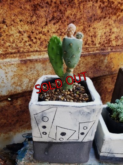 画像2: 幾何学シリーズ/角1