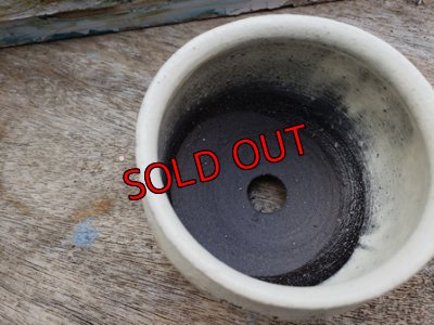 画像7: 幾何学シリーズ/蜜脚コロリン-2