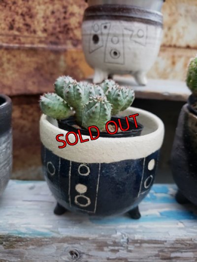 画像5: 幾何学シリーズ/蜜脚コロリン-3