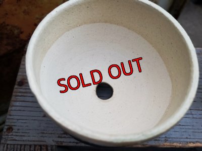 画像8: 幾何学シリーズ/蜜脚コロリン-3