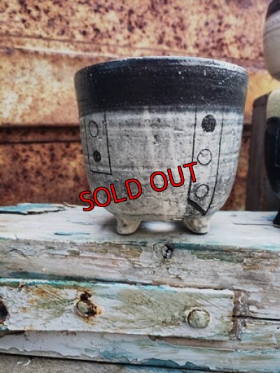 画像5: 幾何学シリーズ/蜜脚コロリン-4