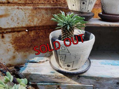 画像7: 幾何学シリーズ/皿付-1