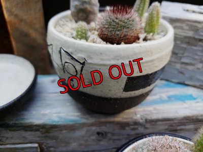 画像6: 幾何学シリーズ/皿付-2