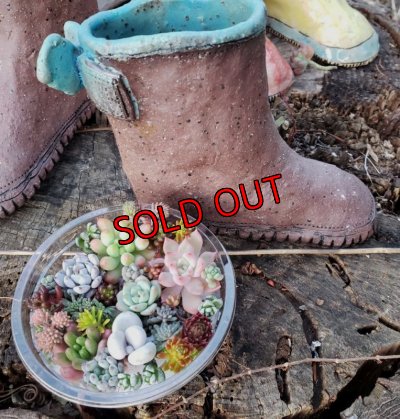 画像5: 栃尾さんの陶器のブーツ/リボン（22-3）