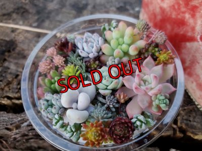 画像3: 栃尾さんの陶器のブーツ/リボン（22-3）