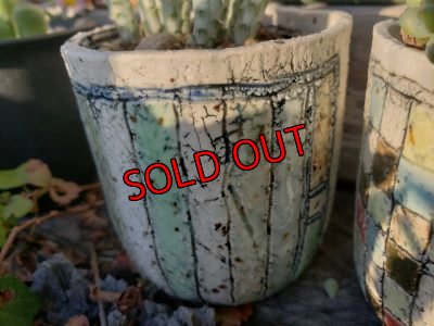 画像4: （再販）ノートの器〜色紙/二個セット