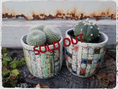 画像6: （再販）ノートの器〜色紙/二個セット