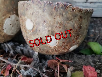 画像9: 栃尾さんの水玉鉢〜ドット/二個セット