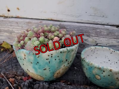 画像5: 栃尾さんの水玉鉢〜ドット/二個セット