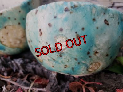 画像10: 栃尾さんの水玉鉢〜ドット/二個セット