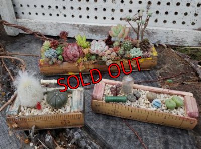 植えるとこんな感じです＾＾