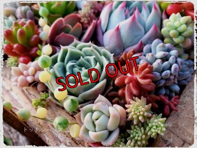 画像5: 限定☆贈り物木箱（正方形）〜工場のおじいさんシリーズ