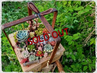 植物寄せるとこんな感じです。