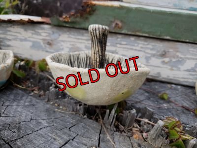 画像3: きのこ鉢〜栃尾さん&トットコラボ-A~水玉（20-5）