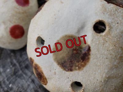 画像6: きのこ鉢〜栃尾さん&トットコラボ-A~水玉（20-5）