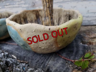 画像7: きのこ鉢〜栃尾さん&トットコラボD~水玉/ツートン（20-5）