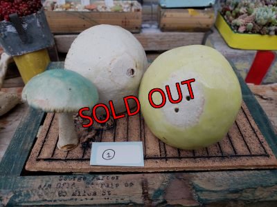 画像5: キノコ鉢×ノートのお皿+キノコオブジェ付き（20-5）