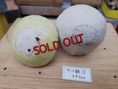 画像6: ミニキノコ鉢　2Ｐセット（20-7）