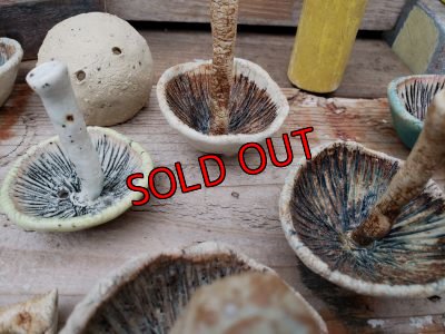 画像3: ミニキノコ鉢　2Ｐセット（20-7）