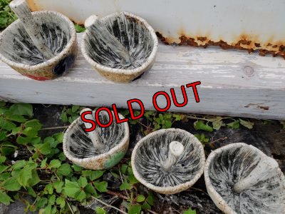 画像3: きのこ鉢〜栃尾さん&トットコラボ~水玉（20-7）