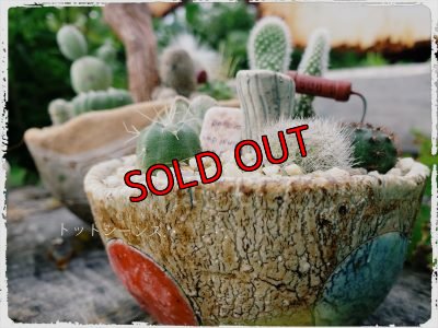 画像5: きのこ鉢寄せ植え〜栃尾さん&トットコラボ（20-7）