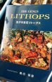画像1: THE LITHOPS 〜生ける宝石リトープス (1)