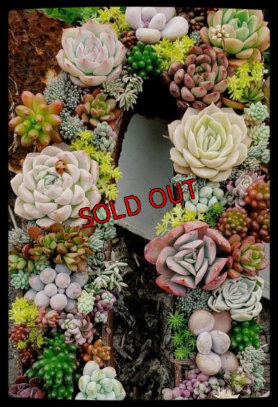 画像10: 【予約受付】2023年/栃尾さん＆トットコラボ　数字の器/ゴシック体