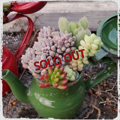 画像2: ホーローポット-G（21-1）