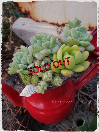 画像3: ホーローポット-G（21-1）