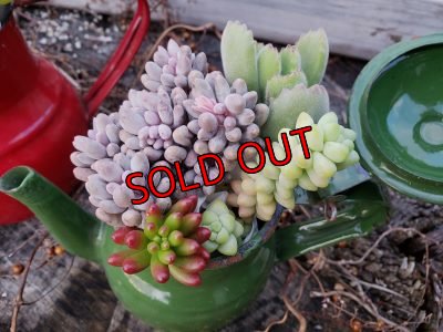 画像6: ホーローポット-G（21-1）