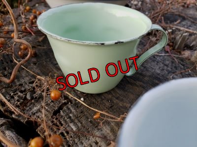 (3)ペパーミントグリーン