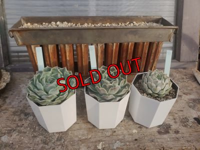 画像7: ハートチョイス（21-3）