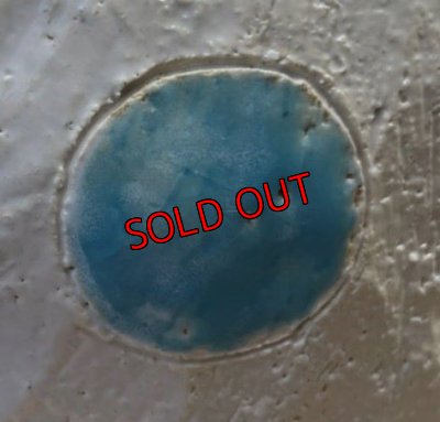 新色/水色艶有り