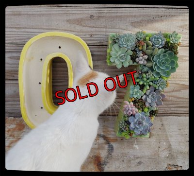 画像8: 栃尾さん＆トットコラボ　数字の器/2【ゴシック体/釉薬選べるVersion】