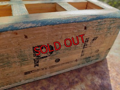 画像4: 採集して愛でる木箱の寄せ植えセットDー12マス（（22-4）