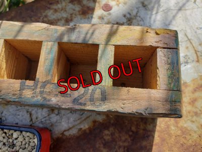 画像4: 採集して愛でる木箱の寄せ植えセットAー6マス（（22-4）