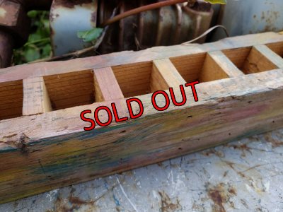 画像6: 採集して愛でる木箱の寄せ植えセットAー6マス（（22-4）