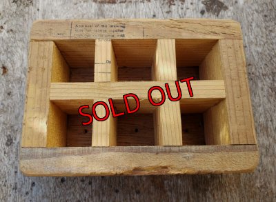 画像5: 採集して愛でる木箱の寄せ植えセットCー6マス（（22-4）