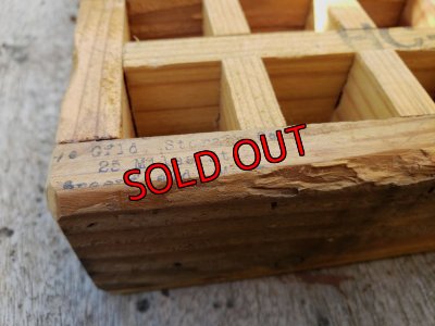 画像5: 採集して愛でる木箱の寄せ植えセットBー6マス（（22-4）