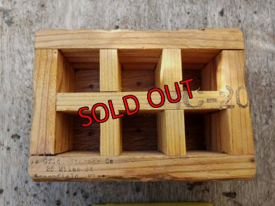 画像4: 採集して愛でる木箱の寄せ植えセットBー6マス（（22-4）